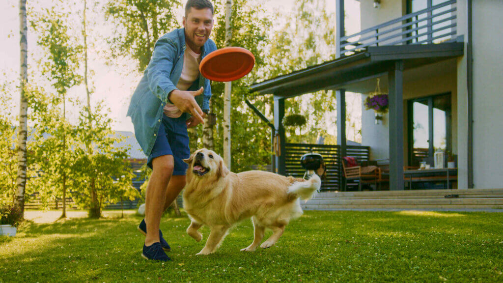 dog and owner playing fetch at pet-friendly apartments in savannah