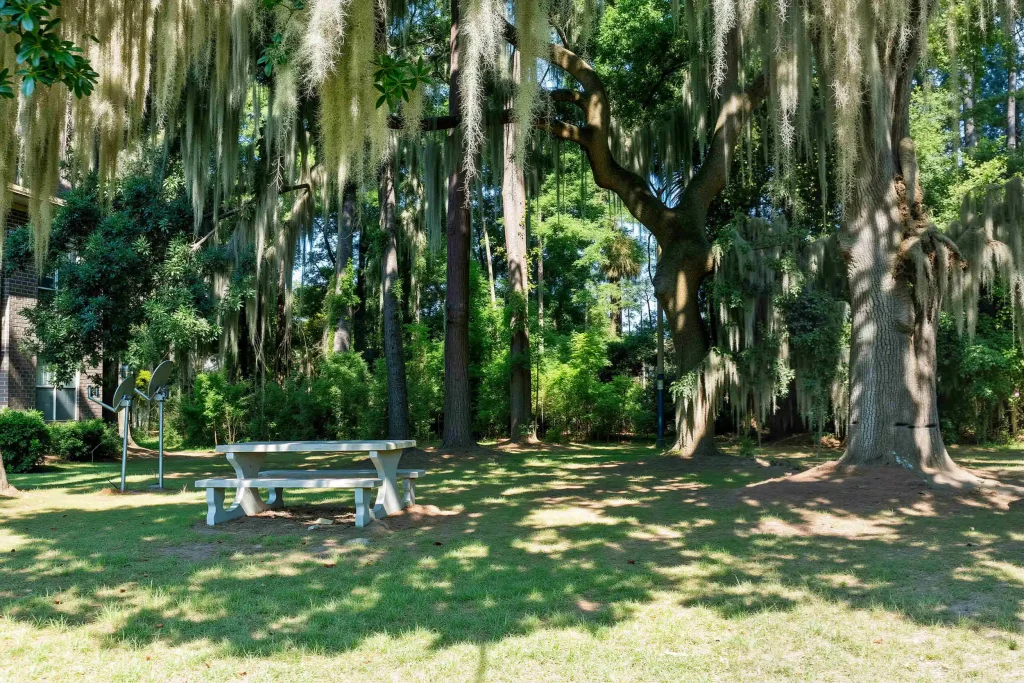 savannah 6 bricktowne flats picnic